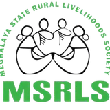 MSRLS